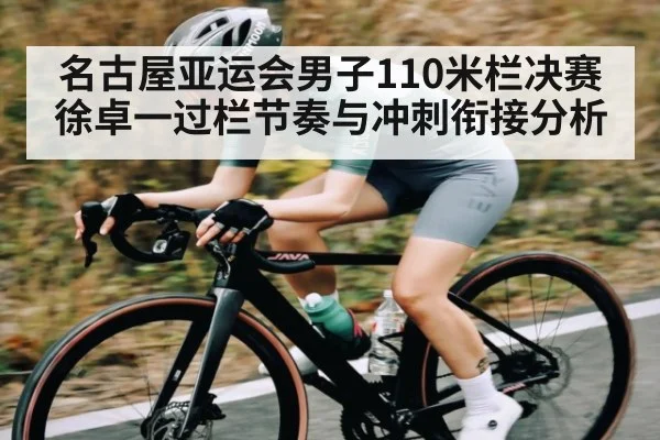 名古屋亚运会男子110米栏决赛徐卓一过栏节奏与冲刺衔接分析 | kaiyun
